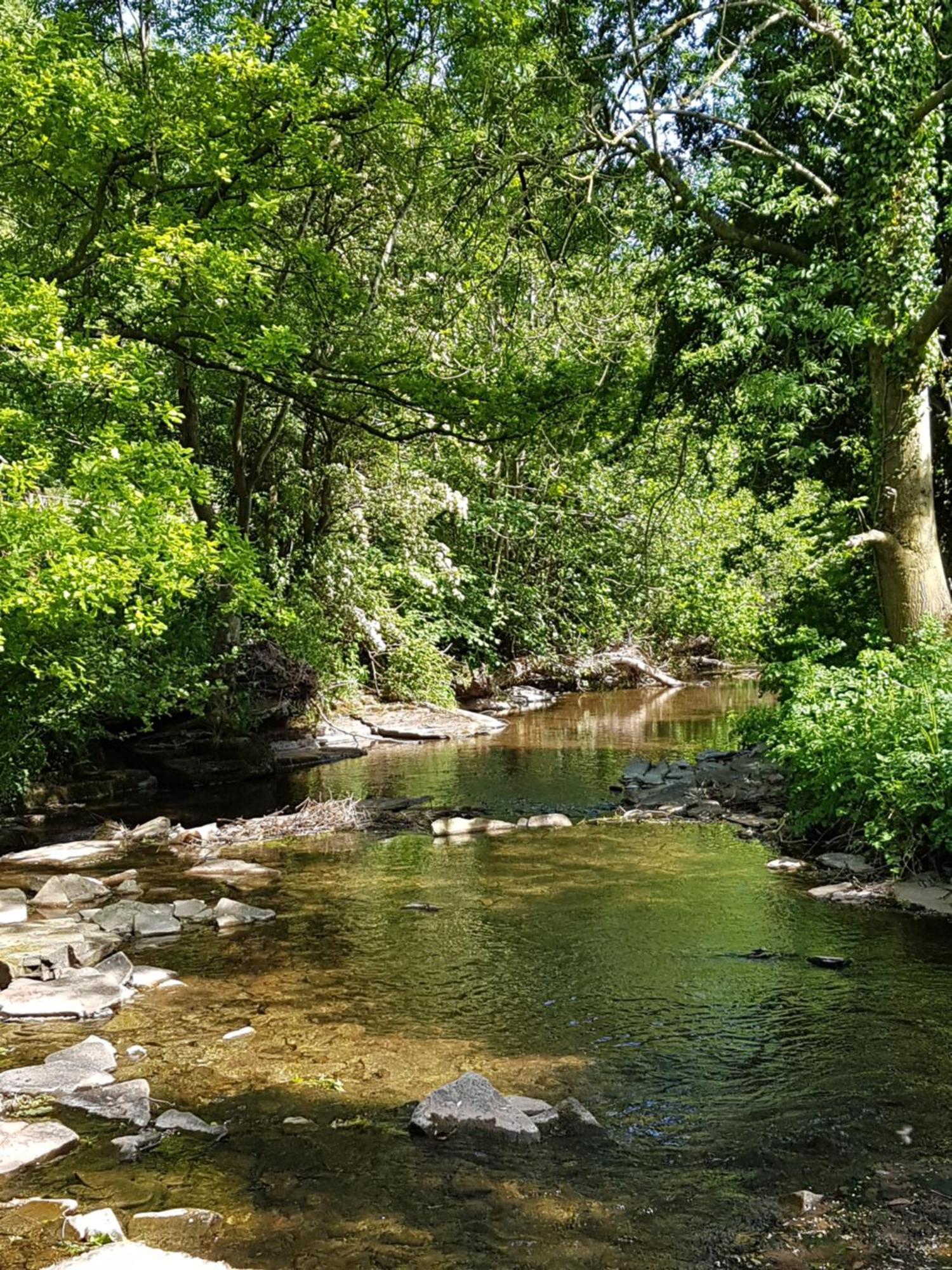 River Cottage@Cwm Mill - Riverside Family Holidays In The Black Mountains Херфорд Екстериор снимка